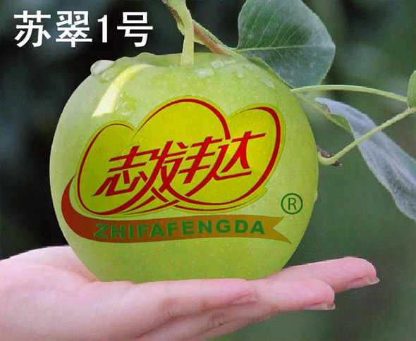 �������������ҵ���޹�˾